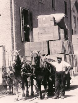 Pferdefuhrwerk
