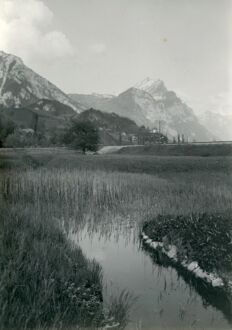 Sumpflandschaft Linthebene